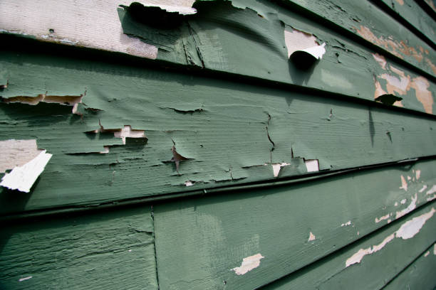 Best Property Management Cleanouts  in Catahou, LA